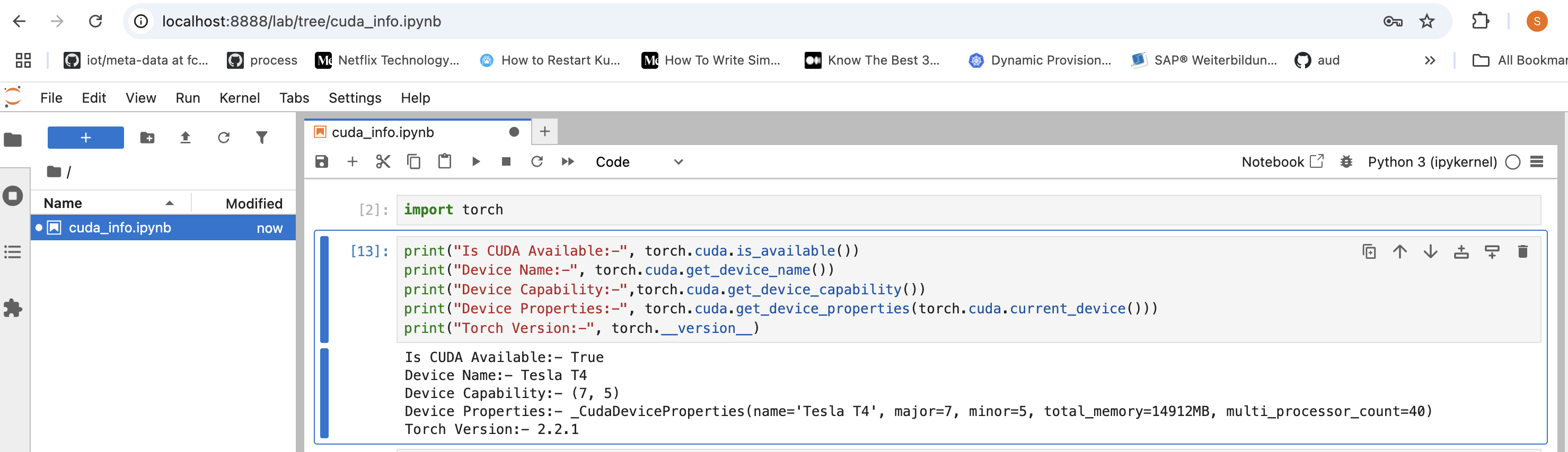accessing-pytorch-from-local