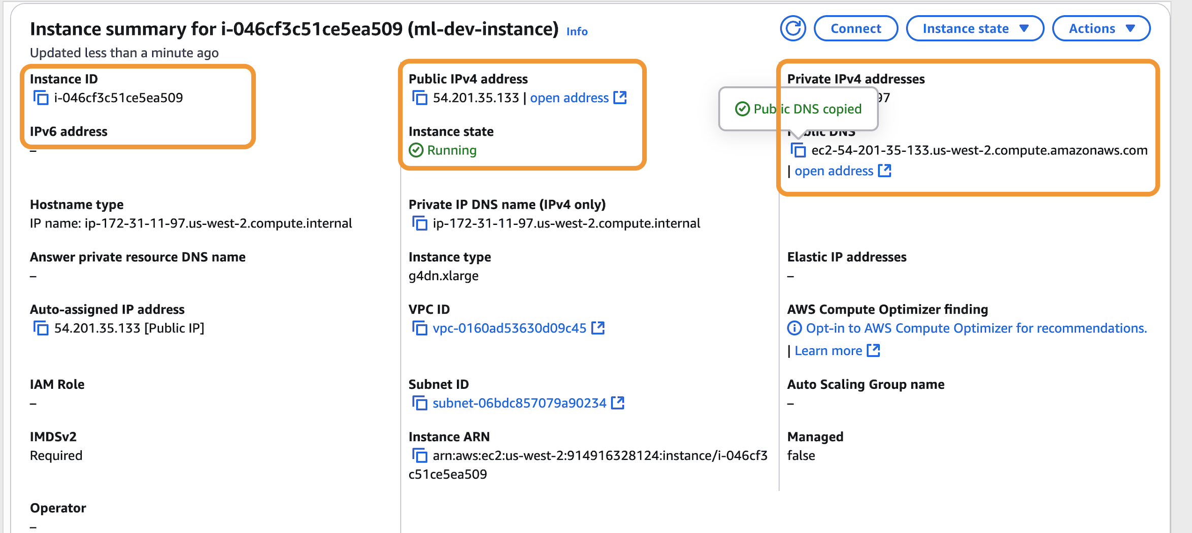 ml_dev_instance